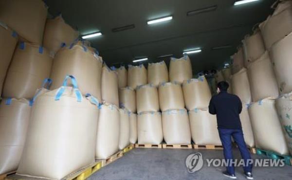 An official checks the quality of preserved rice at a rice processing cooperative in Yongin, 40 kilometers south of Seoul, on April 4, 2023. President Yoon Suk Yeol vetoed a co<em></em>ntentious bill the same day that requires the government purchase of surplus rice. (Yonhap)