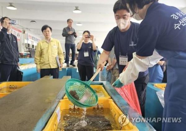 A citizen participates in the process of checking the safety of seafood in the southern port city of To<em></em>ngyeong on June 27, 2023. (Yonhap)
