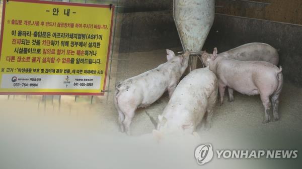 韩国加强了对非洲猪瘟的防疫措施