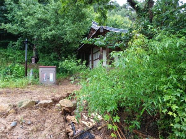 47处韩国文化遗产被暴雨破坏