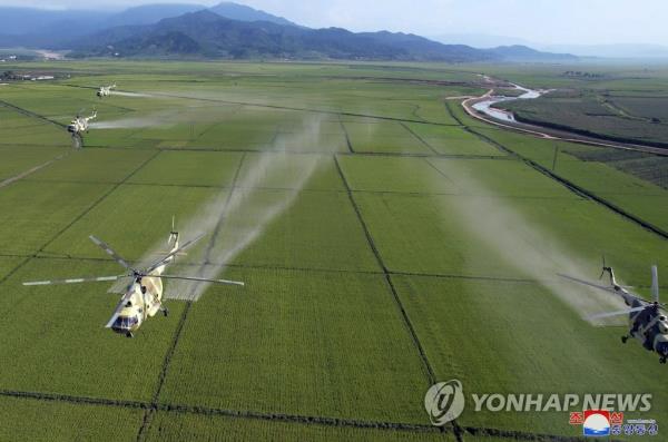 This photo, carried by North Korea's official Korean Central News Agency on Aug. 18, 2023, shows the North mobilizing choppers and aircraft from its air force for spraying pesticides in flood-hit fields in Anbyon County in Kangwon Province. (For Use o<em></em>nly in the Republic of Korea. No Redistribution) (Yonhap)