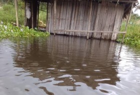 图片:洪水淹没了三角洲的河流社区