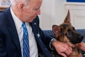 乔·拜登的军犬指挥官咬伤特勤局特工，这是一年内发生的第11起事件