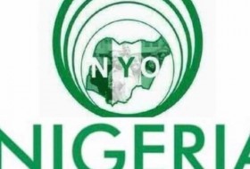 Nigeria@63:团体敦促FG成立青年发展委员会