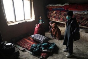 世界粮食计划署:阿富汗妇女在预算削减中濒临失去最后的生命线