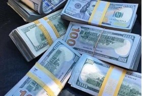 代表们调查美元和其他货币作为法定货币的使用情况