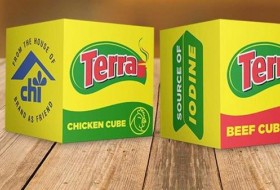 Terra调味袋最佳营销奖