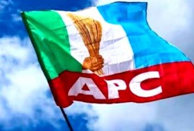 APC推迟巴耶尔萨政府竞选