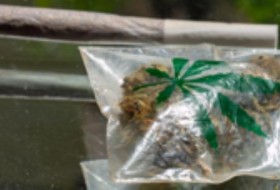 大麻合法化并不能保护儿童，也不能消除黑市