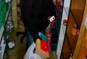 食品银行被戴熊猫面具的小偷洗劫后重新进货|英国新闻