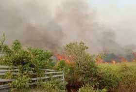 一名年轻的消防员在婆罗洲猩猩栖息地救火身亡