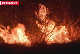“立即离开”:居民被敦促逃离致命的昆士兰州森林大火